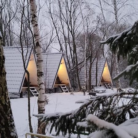 Vigio Brasta Camping Електренай Екстериор снимка