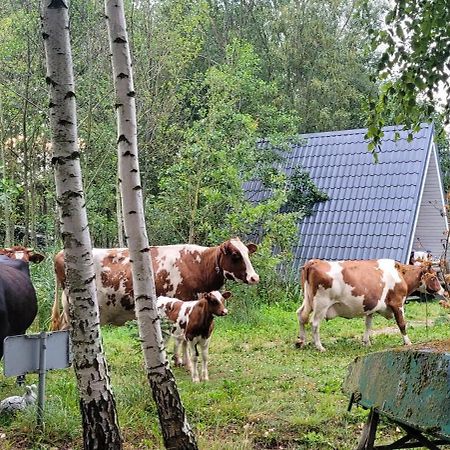 Vigio Brasta Camping Електренай Екстериор снимка