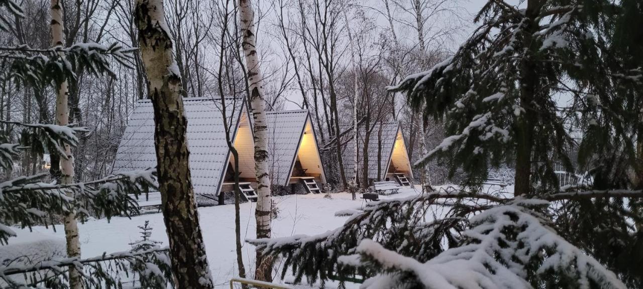Vigio Brasta Camping Електренай Екстериор снимка