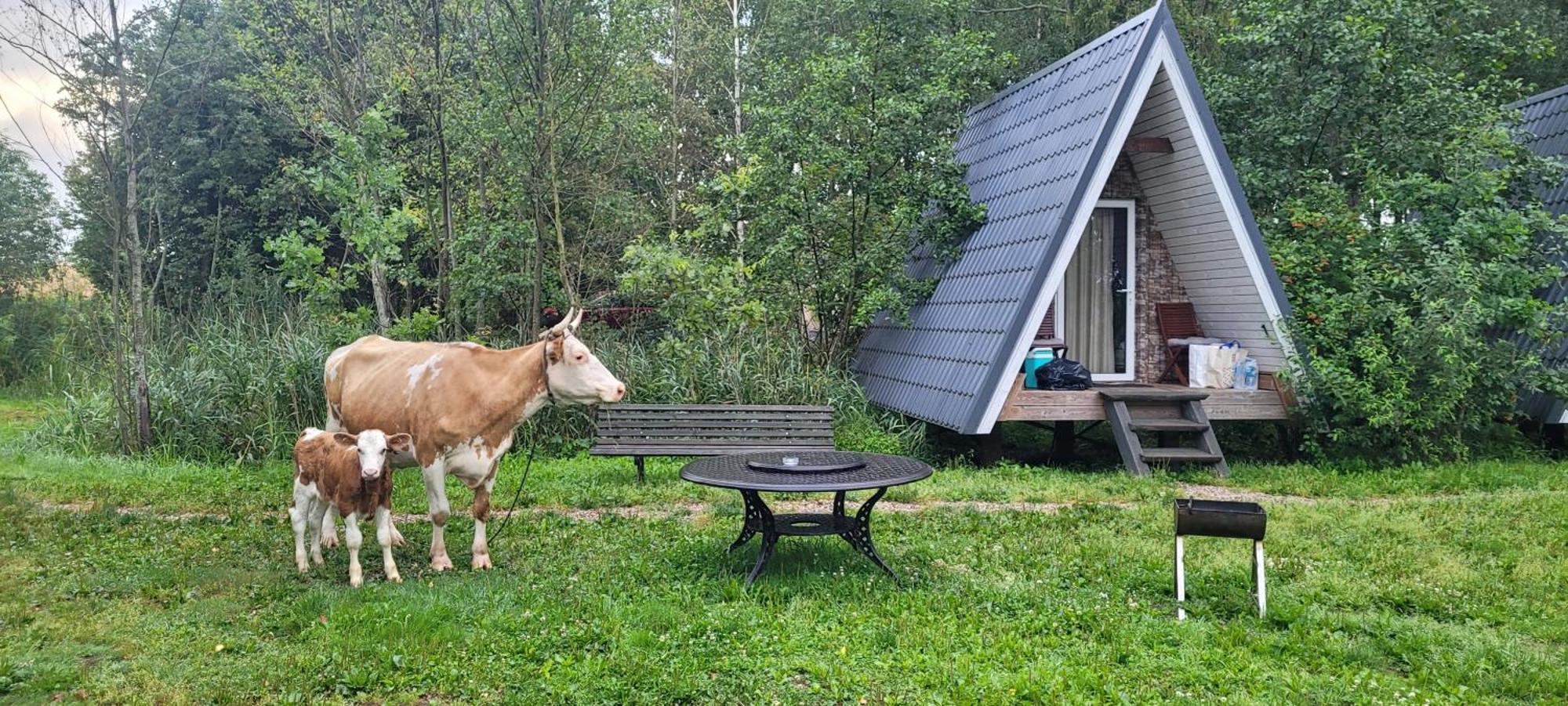 Vigio Brasta Camping Електренай Екстериор снимка